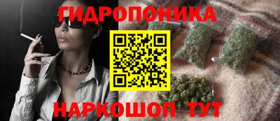 марихуана Новозыбков