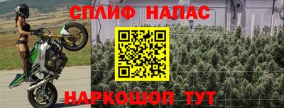марихуана Новозыбков