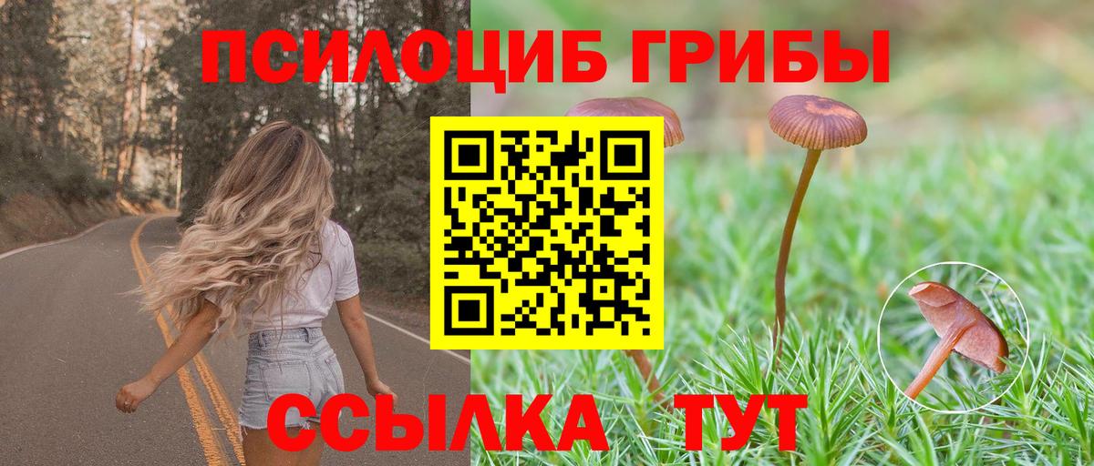 Галлюциногенные грибы ЛСД  наркотики  Ревда  Вход с VPN 